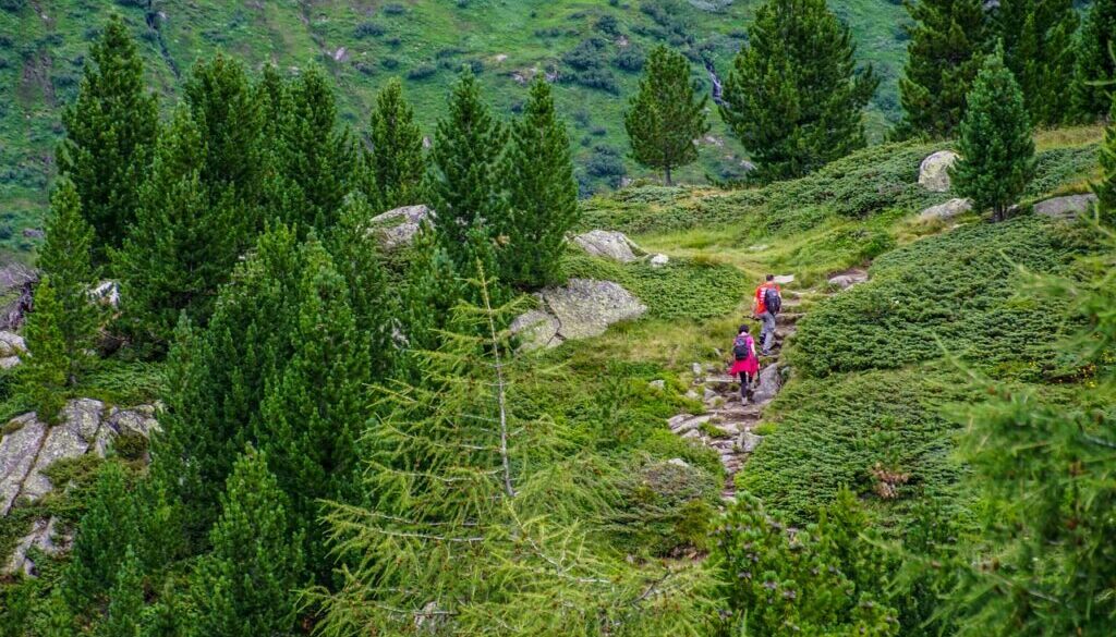 i walk alps mountain landscape 4379105