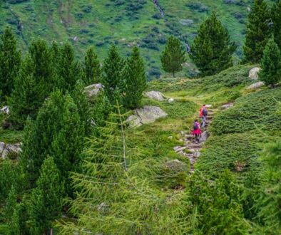 i walk alps mountain landscape 4379105