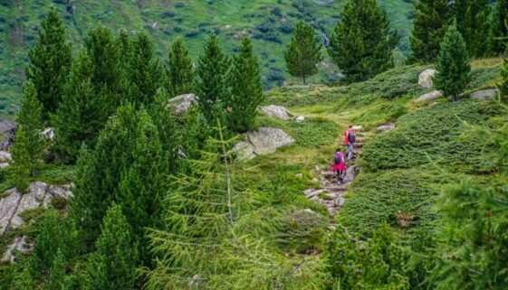 i walk alps mountain landscape 4379105