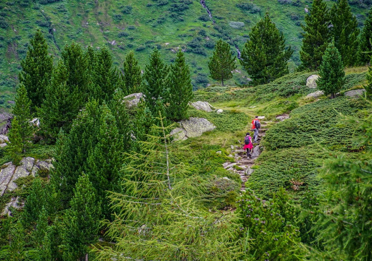i walk alps mountain landscape 4379105