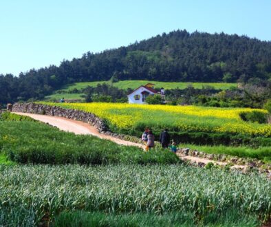 scenery nature field panorama of 3261087