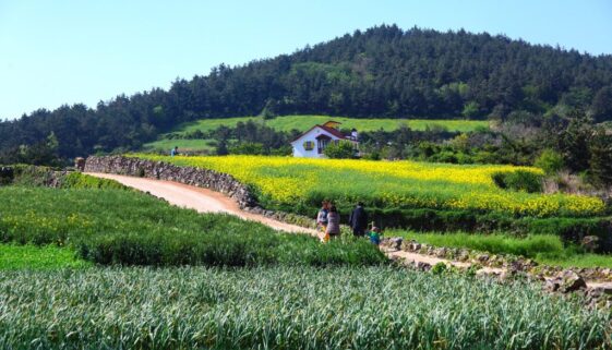 scenery nature field panorama of 3261087